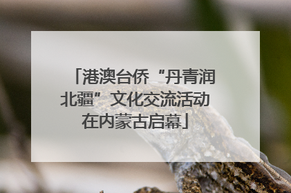 港澳台侨“丹青润北疆”文化交流活动在内蒙古启幕