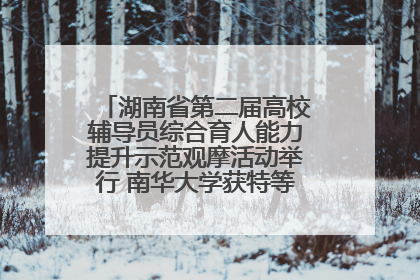 湖南省第二届高校辅导员综合育人能力提升示范观摩活动举行 南华大学获特等奖和一等奖