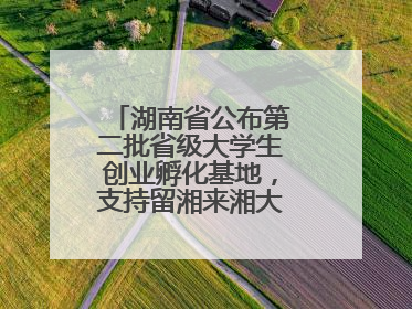 湖南省公布第二批省级大学生创业孵化基地，支持留湘来湘大学生创新创业