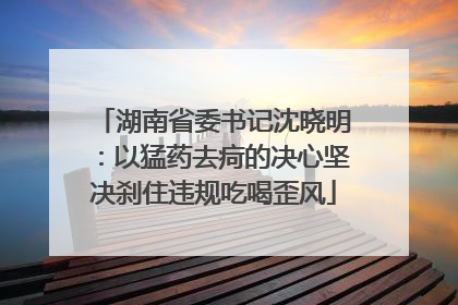 湖南省委书记沈晓明：以猛药去疴的决心坚决刹住违规吃喝歪风