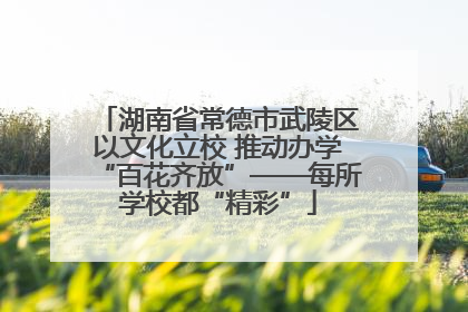 湖南省常德市武陵区以文化立校 推动办学“百花齐放”——每所学校都“精彩”