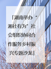 湖南举办“湘社有为”社会组织协同合作服务乡村振兴专题沙龙