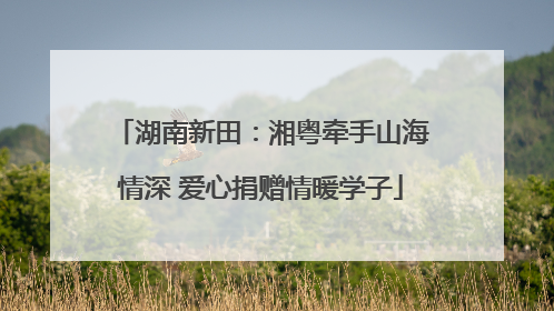 湖南新田：湘粤牵手山海情深 爱心捐赠情暖学子