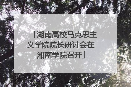 湖南高校马克思主义学院院长研讨会在湘南学院召开