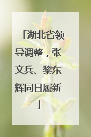湖北省领导调整，张文兵、黎东辉同日履新