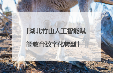 湖北竹山人工智能赋能教育数字化转型