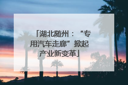 湖北随州：“专用汽车走廊”掀起产业新变革