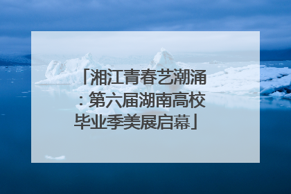 湘江青春艺潮涌：第六届湖南高校毕业季美展启幕
