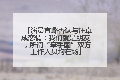 演员宣璐否认与汪卓成恋情：我们就是朋友，所谓“牵手图”双方工作人员均在场