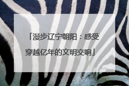 漫步辽宁朝阳：感受穿越亿年的文明交响