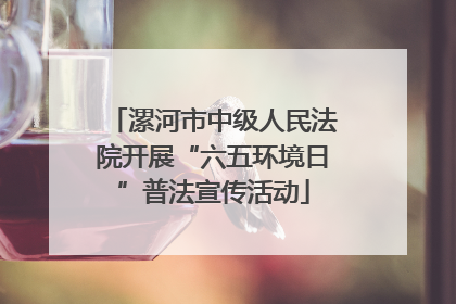 漯河市中级人民法院开展“六五环境日”普法宣传活动