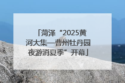 菏泽“2025黄河大集—曹州牡丹园夜游消夏季”开幕