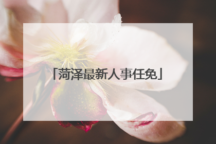 菏泽最新人事任免