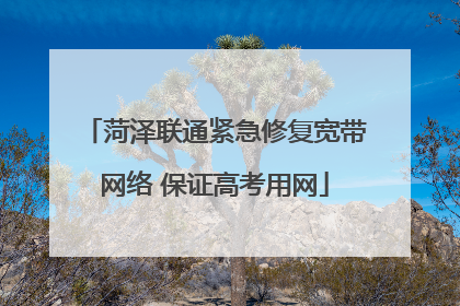 菏泽联通紧急修复宽带网络 保证高考用网