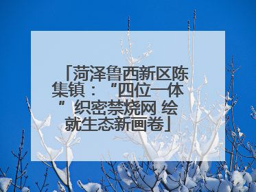 菏泽鲁西新区陈集镇：“四位一体”织密禁烧网 绘就生态新画卷