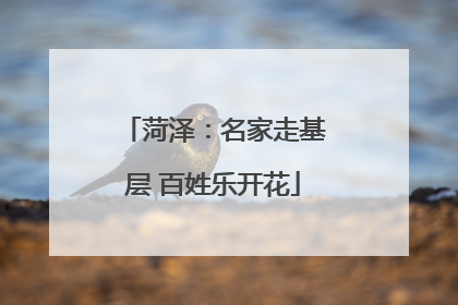 菏泽：名家走基层 百姓乐开花
