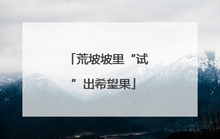 荒坡坡里“试”出希望果