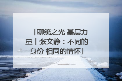 聊统之光 基层力量丨张文静：不同的身份 相同的情怀