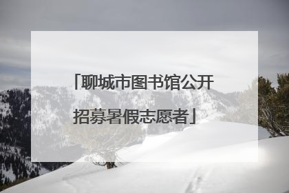 聊城市图书馆公开招募暑假志愿者