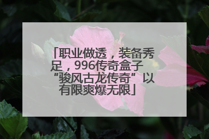 职业做透，装备秀足，996传奇盒子“骏风古龙传奇”以有限爽爆无限