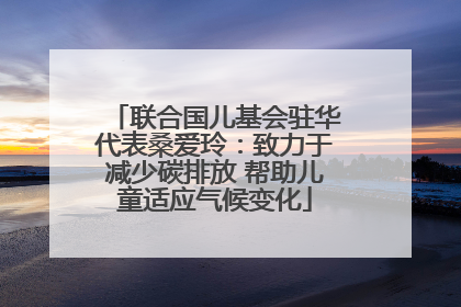 联合国儿基会驻华代表桑爱玲：致力于减少碳排放 帮助儿童适应气候变化