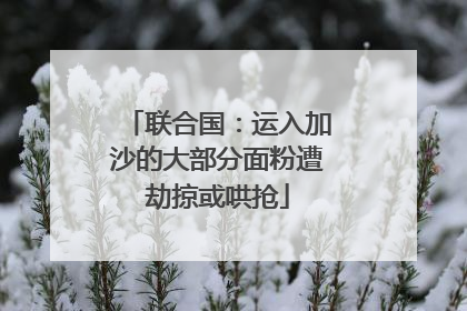 联合国：运入加沙的大部分面粉遭劫掠或哄抢