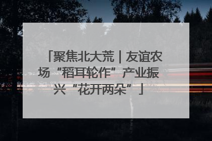 聚焦北大荒｜友谊农场“稻耳轮作”产业振兴“花开两朵”