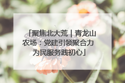 聚焦北大荒｜青龙山农场：党建引领聚合力 为民服务践初心