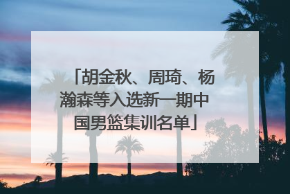 胡金秋、周琦、杨瀚森等入选新一期中国男篮集训名单