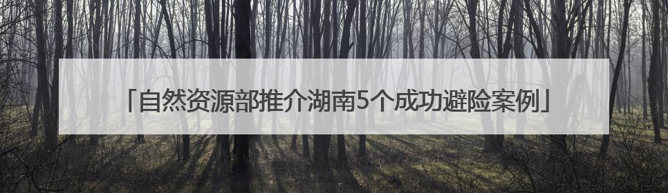 自然资源部推介湖南5个成功避险案例