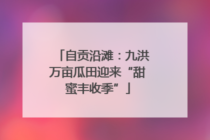 自贡沿滩：九洪万亩瓜田迎来“甜蜜丰收季”