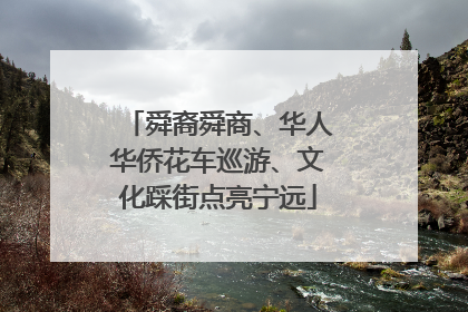 舜裔舜商、华人华侨花车巡游、文化踩街点亮宁远