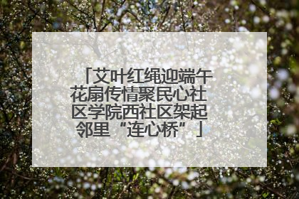 艾叶红绳迎端午花扇传情聚民心社区学院西社区架起邻里“连心桥”