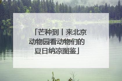 芒种到丨来北京动物园看动物们的夏日纳凉图鉴