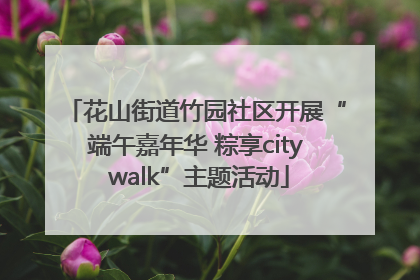 花山街道竹园社区开展“端午嘉年华 粽享city walk”主题活动