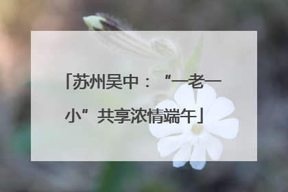 苏州吴中：“一老一小”共享浓情端午