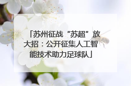 苏州征战“苏超”放大招：公开征集人工智能技术助力足球队