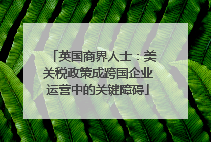 英国商界人士：美关税政策成跨国企业运营中的关键障碍