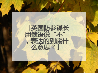 英国防参谋长用俄语说“不”，表达的到底什么意思？