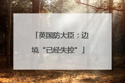 英国防大臣：边境“已经失控”