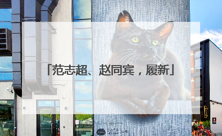 范志超、赵同宾，履新