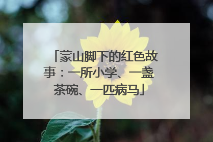 蒙山脚下的红色故事：一所小学、一盏茶碗、一匹病马