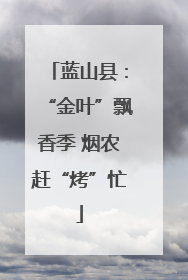 蓝山县：“金叶”飘香季 烟农赶“烤”忙