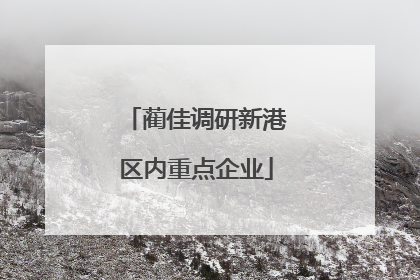 蔺佳调研新港区内重点企业