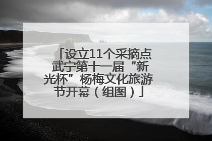 设立11个采摘点 武宁第十一届“新光杯”杨梅文化旅游节开幕（组图）