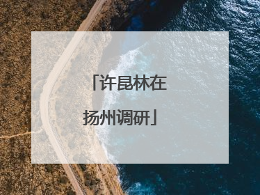 许昆林在扬州调研