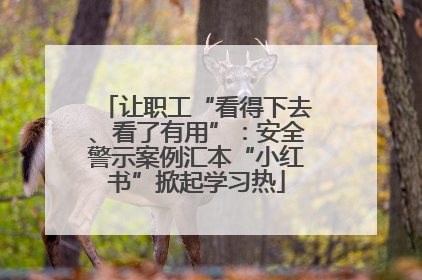 让职工“看得下去、看了有用”：安全警示案例汇本“小红书”掀起学习热