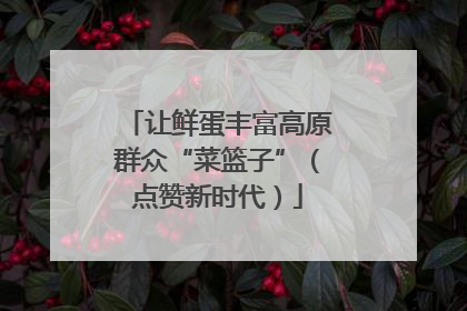 让鲜蛋丰富高原群众“菜篮子”（点赞新时代）