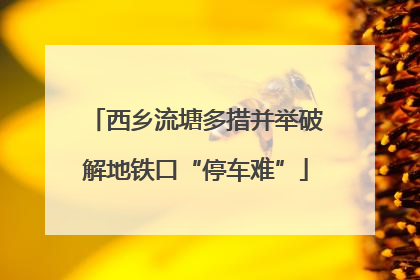 西乡流塘多措并举破解地铁口“停车难”