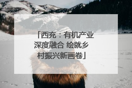 西充：有机产业深度融合 绘就乡村振兴新画卷